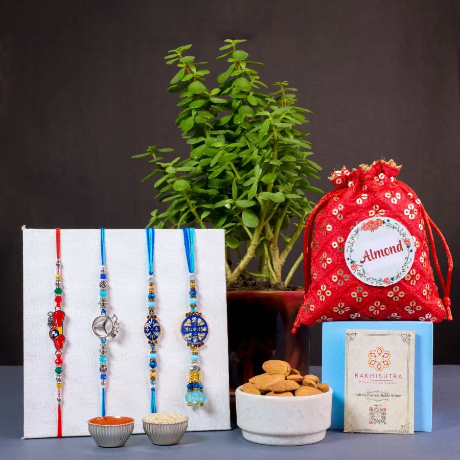 Joyful Raksha Bandhan Gift Bundle